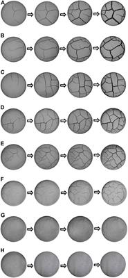 Influence of Clay Content on Crack Evolution of Clay–Sand Mixture